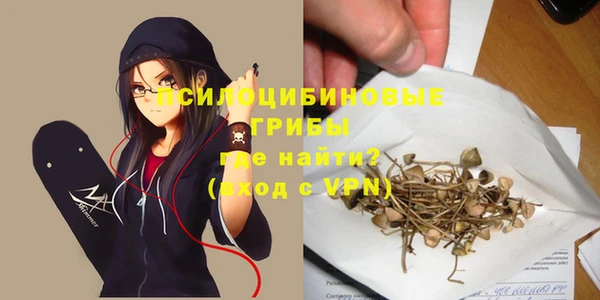 дурь Пересвет