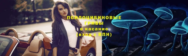СК Осинники