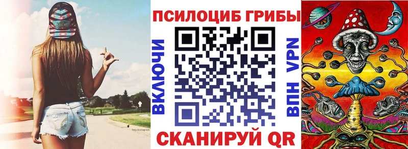 shop как зайти  ссылка на мегу сайт  Павлово  Псилоцибиновые грибы Cubensis 